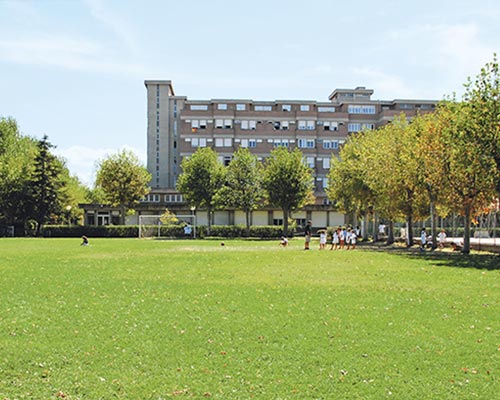 Campo da calcio